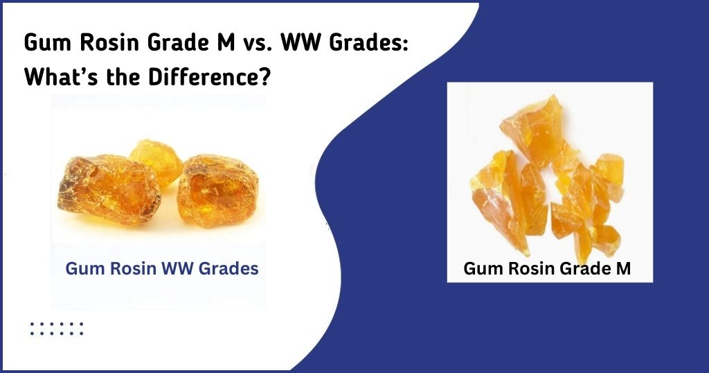 Gum Rosin Grade M vs. WW Grades: What’s the Difference?